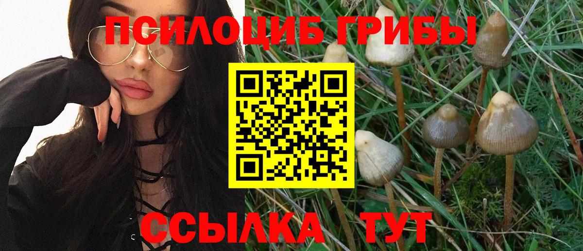 Чехов  Псилоцибиновые грибы прущие грибы  как найти закладки  Вход с VPN 